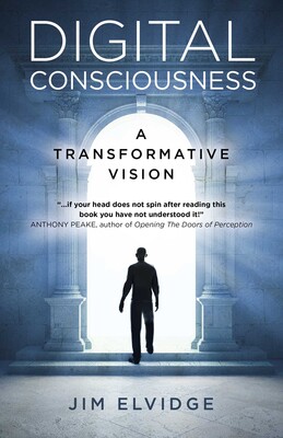 Digital Consciousness: A Transformative Vision Digital Consciousness: A Transformative Vision