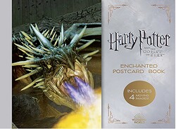 Harry Potter and the Goblet of Fire Enchanted Postcard Book Harry Potter and the Goblet of Fire Enchanted Postcard Book