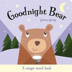 Goodnight Bear Magic Torch Book