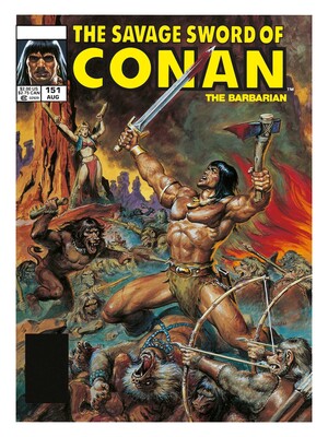 Savage Sword Of Conan: The Original Comics Omnibus Vol.11 Savage Sword Of Conan: The Original Comics Omnibus Vol.11