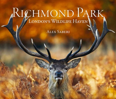 Richmond Park Richmond Park