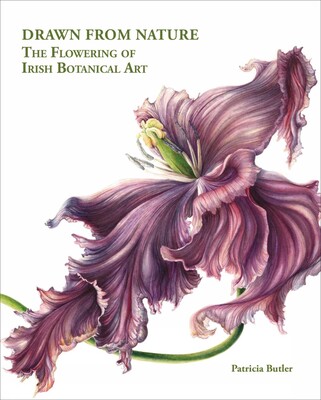 Drawn From Nature Drawn From Nature