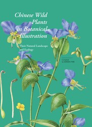 Chinese Wild Plants in Botanical Illustration 1 Chinese Wild Plants in Botanical Illustration 1