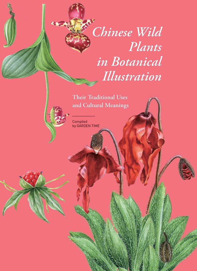 Chinese Wild Plants in Botanical Illustration 2