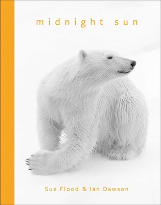 Midnight Sun Midnight Sun