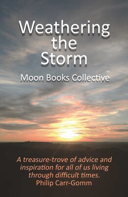 Weathering the Storm Weathering the Storm