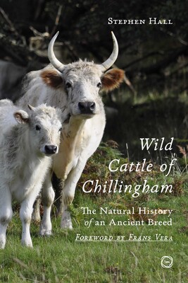 Wild Cattle of Chillingham Wild Cattle of Chillingham