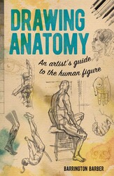 Drawing Anatomy Drawing Anatomy