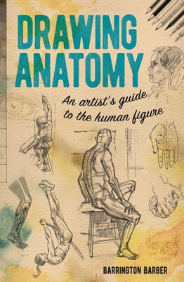 Drawing Anatomy Drawing Anatomy