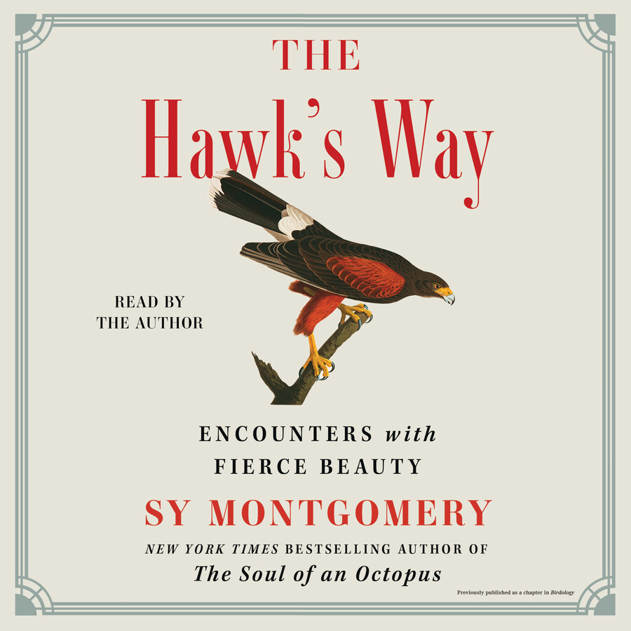 Hawk's Way