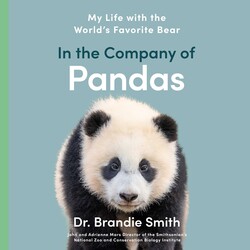 In the Company of Pandas