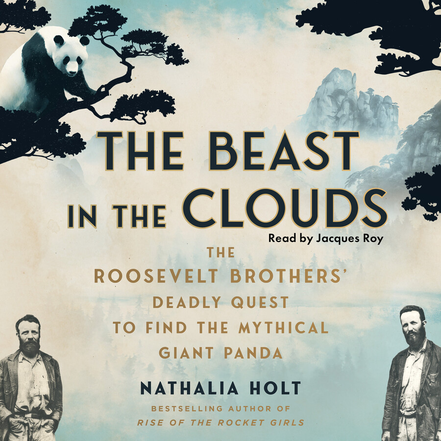 Beast in the Clouds