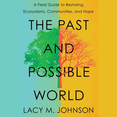 The Past and Possible World