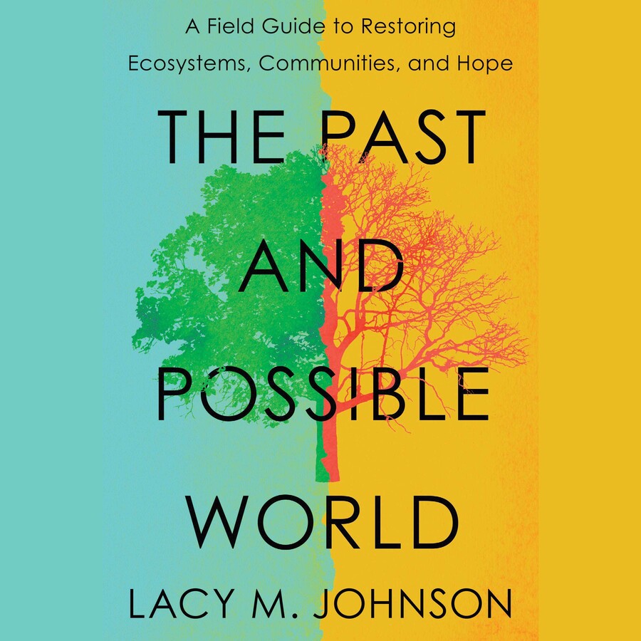 Past and Possible World