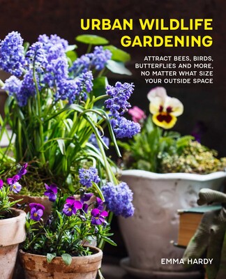 Urban Wildlife Gardening Urban Wildlife Gardening