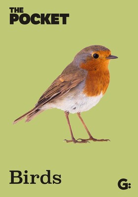 Pocket Birds Pocket Birds