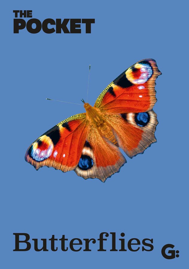 Pocket Butterflies