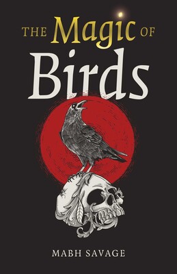 Magic of Birds Magic of Birds
