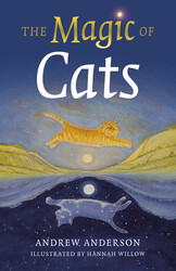 The Magic of Cats The Magic of Cats
