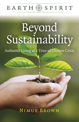 Beyond Sustainability Beyond Sustainability