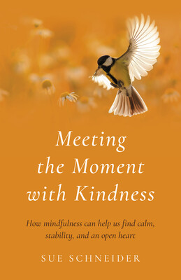 Meeting the Moment with Kindness Meeting the Moment with Kindness