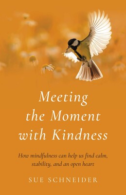 Meeting the Moment with Kindness Meeting the Moment with Kindness