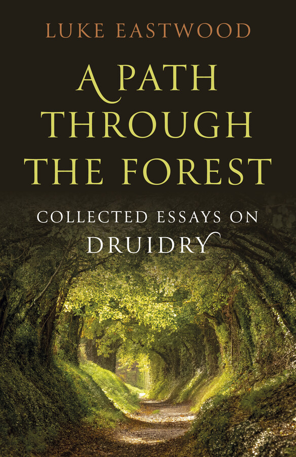 Path through the Forest