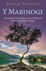 Pagan Portals: Y Mabinogi