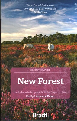 New Forest New Forest