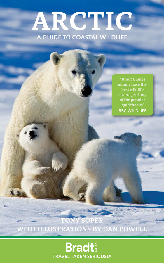 Arctic