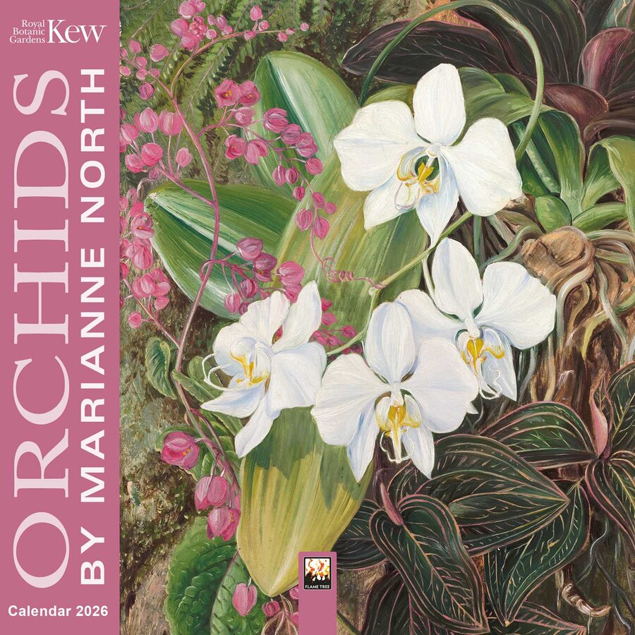 Kew Gardens Orchids by Marianne North Mini Wall Calendar 2026 (Art