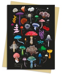 Anna Stead: Mushrooms & Fungi Greeting Card Pack Anna Stead: Mushrooms & Fungi Greeting Card Pack