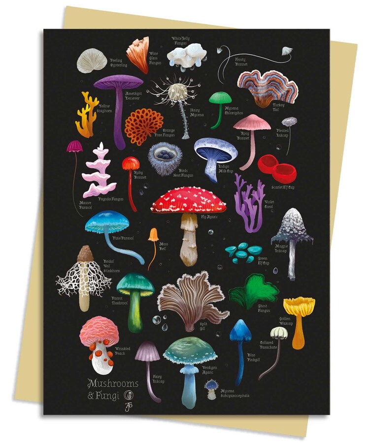 Anna Stead: Mushrooms & Fungi Greeting Card Pack