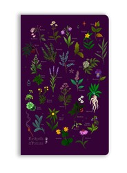 Anna Stead: For Spells & Potions (Soft Touch Journal) Anna Stead: For Spells & Potions (Soft Touch Journal)