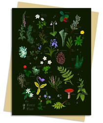 Anna Stead Forest Floor Greeting Card Pack Anna Stead Forest Floor Greeting Card Pack