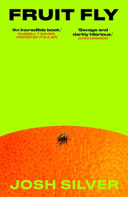 Fruit Fly Fruit Fly