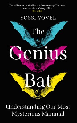 The Genius Bat The Genius Bat