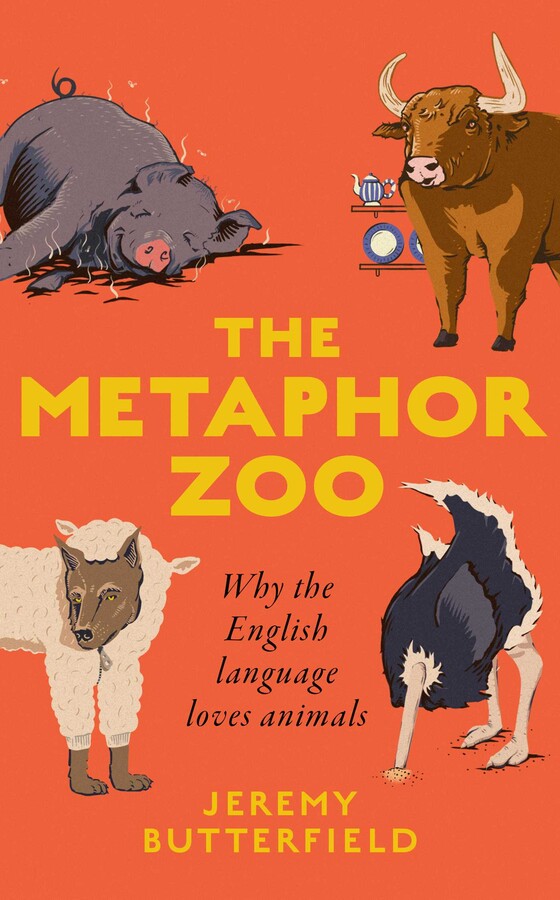 Metaphor Zoo