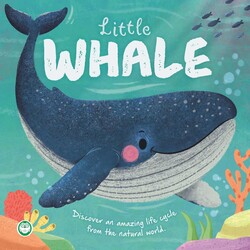 Nature Stories: Little Whale Nature Stories: Little Whale