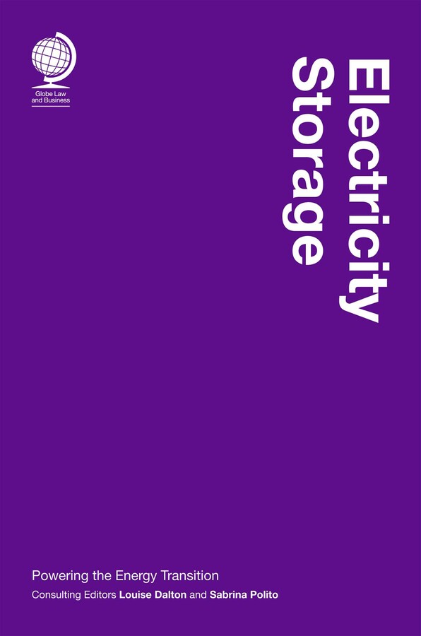Electricity Storage
