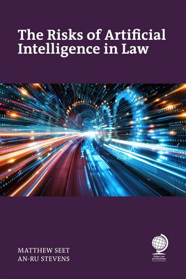 The Risks of Artificial Intelligence in Law The Risks of Artificial Intelligence in Law
