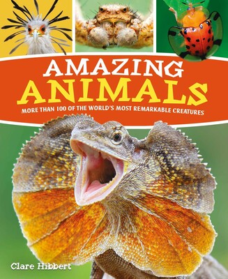 Amazing Animals Amazing Animals