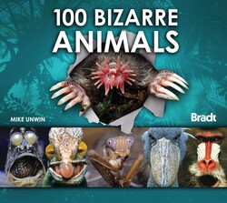 100 Bizarre Animals 100 Bizarre Animals