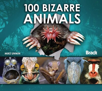100 Bizarre Animals 100 Bizarre Animals