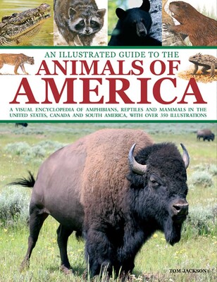 Illustrated Guide To The Animals of America Illustrated Guide To The Animals of America