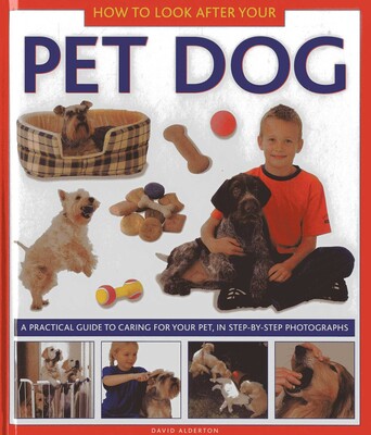 How to Look After Your Pet Dog How to Look After Your Pet Dog