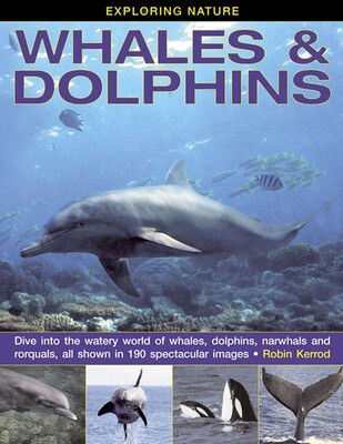 Exploring Nature: Whales & Dolphins Exploring Nature: Whales & Dolphins
