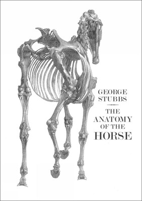 Anatomy of the Horse Anatomy of the Horse