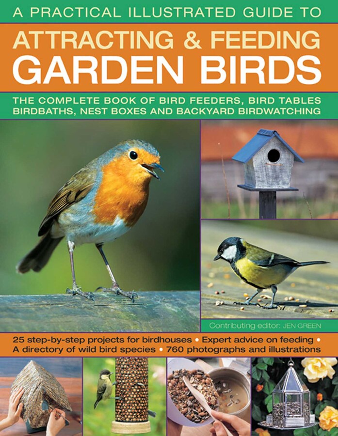 Practical Illustrated Guide To Attracting & Feeding Garden Birds