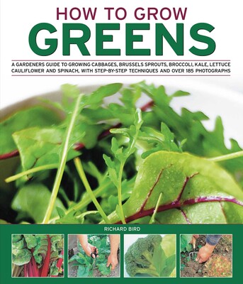 How to Grow Greens How to Grow Greens